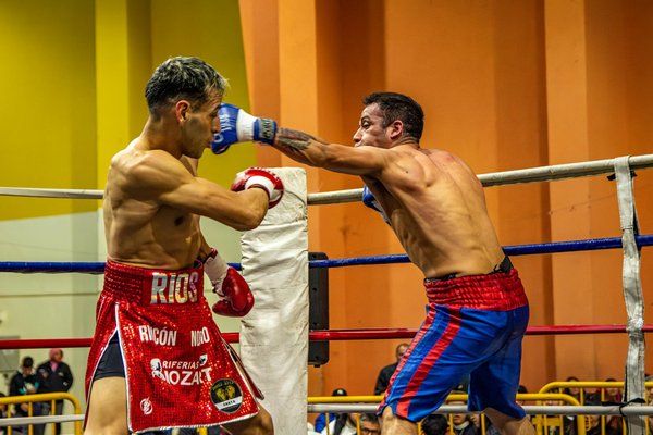 How can UK combat sports athletes improve their nutrition to support muscle recovery?